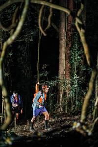 BIB: 
                            <button type="button" onclick="openModal(25239598)" class="btn btn-primary btn-sm float-right btn-popup" data-toggle="modal" data-target=".modal-high-quality">
                        <i class="fas fa-shopping-cart"></i> Add to Cart
                    </button>
                                            <button type="button" onclick="isThisMe(25239598, true)" class="btn btn-success btn-sm float-right btn-popup btn-isme hidden" data-toggle="tooltip" data-placement="bottom" title="นี่คือรูปของคุณใช่ไหม คลิกที่นี่เพื่อเอาเข้าอัลบั้ม">
                        <i class="fas fa-plus"></i> Add to album
                    </button>
                    <button type="button" onclick="isThisMe(25239598, false)" class="btn btn-warning btn-sm float-right btn-popup btn-isnotme hidden">
                        <i class="fas fa-ban"></i> Remove from album
                    </button>